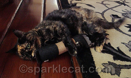 So she can get her aggressions out on the kicker, and not on kitties