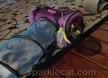 We could go on like this for hours!