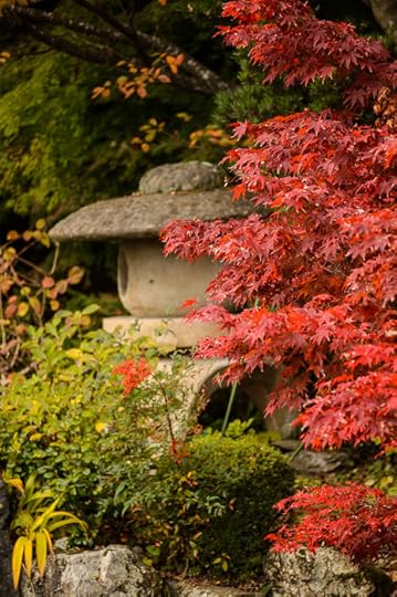 With Polarizer 偏光フィルター有り -- Yoshiminedera Temple (善峯寺) -- Kyoto, Japan -- Copyright 2014 Jeffrey Friedl, http://regex.info/blog/2014-11-18/2485 -- This photo is licensed to the public under the Creative Commons Attribution-NonCommercial 4.0 International License http://creativecommons.org/licenses/by-nc/4.0/ (non-commercial use is freely allowed if proper attribution is given, including a link back to this page on http://regex.info/ when used online)