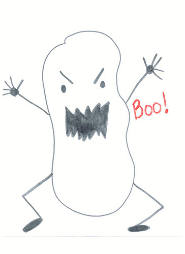 2896831240_cee5c37b4f