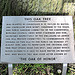 The sign for the Honor Oak