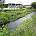 The River Ravensbourne at Cornmill Gardens