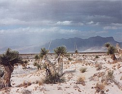 photo by Johnny Boggs