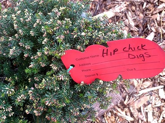 hipchickdigs-design