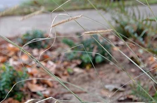 movement-grasses