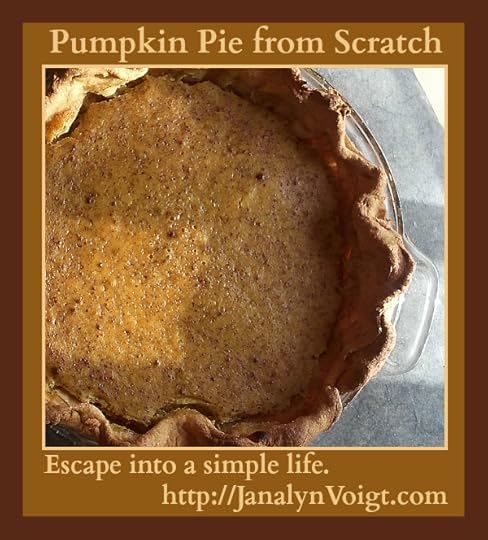 Pumpkin Pie from Scratch from @JanalynVoigt | A Simple Life