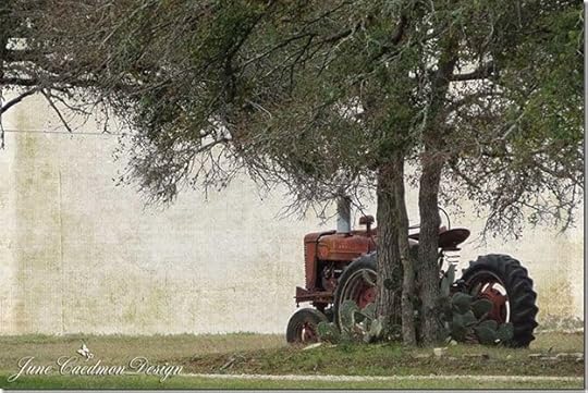 Tractor_kk_sunday