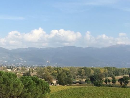 Assisi winery view 1