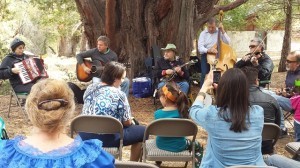 weblg applefest #3