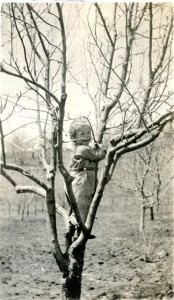 Catherine Roberts, my mother, in an apple tree 1920.