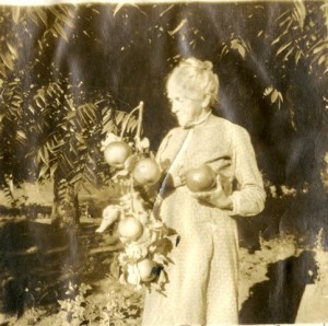 Elsie's Aunt Mamie holding Palomar Giant apples.