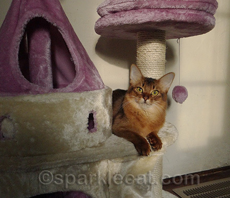 Sometimes being small is a good thing!