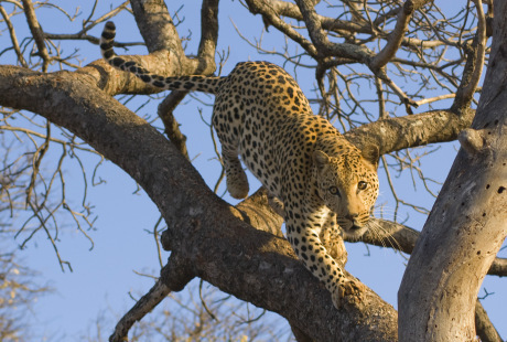 Click to visit the original post