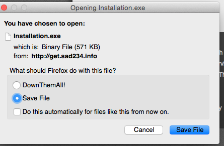 installation.exe screenshot