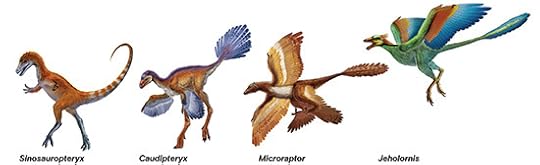 A sampling of feathered dinosaurs and early birds. Xing Lida/National Geographic