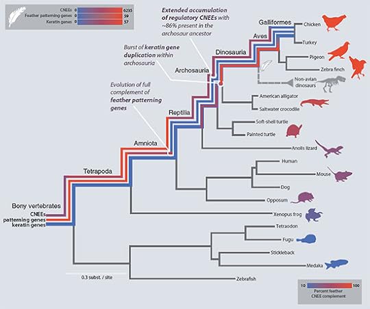 From Lowe et al 2014