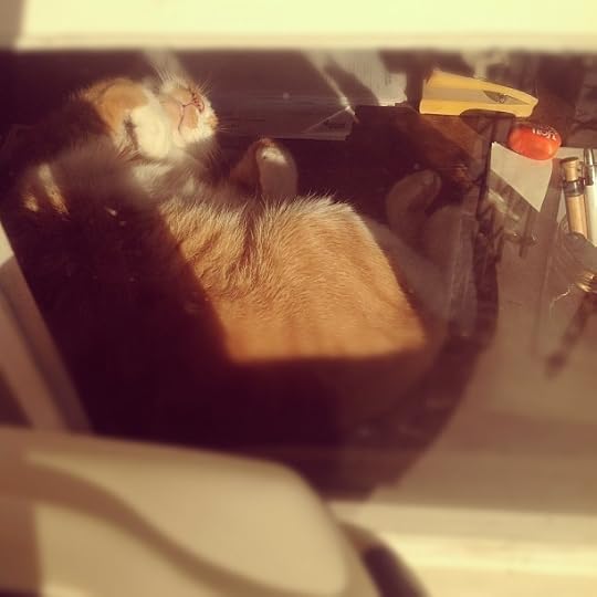 Siesta