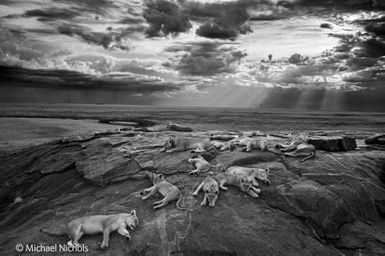 2014-11-18-WPY20141TheLastGreatPicture.jpg