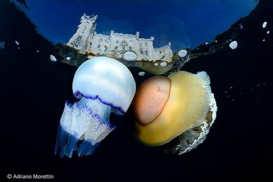 2014-11-18-WPY5TouchofMagic.jpg
