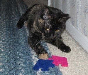 Moderncat Puzzle Pieces