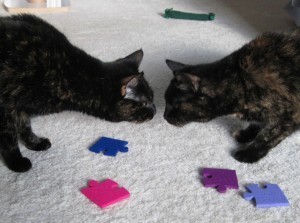 kitty nose tap