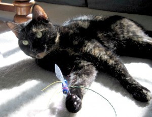 Neko_Flies_interactive_toys