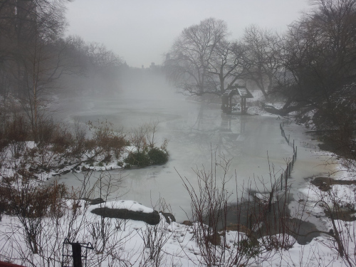 CENTRAL PARK PICTURES-CENTRAL PARK WITH FOG