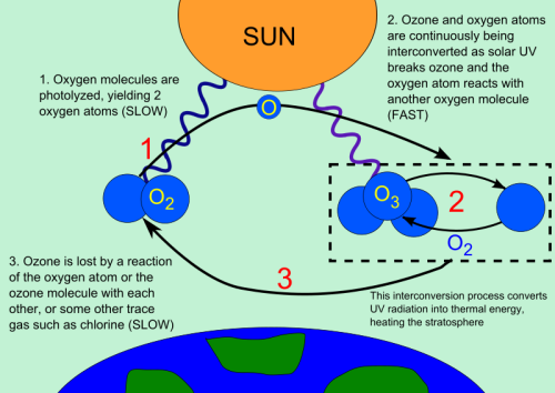OZONE LAYER EXPLAINED-TIPS FOR SUSTAINABLE EARTH MICHAEL GONZALEZ-WALLACE