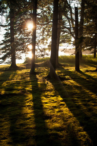 Wisconsin, Summer, Travel, Sunset, Opportunity, Optimism