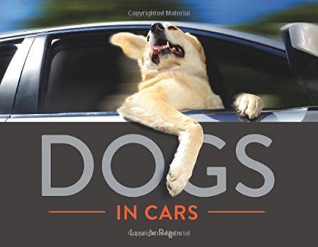 dogs in cars lara jo regan
