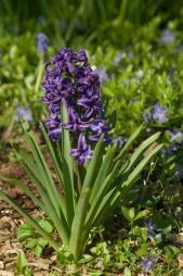 387236_10201085579685937_1062169370_n