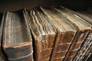 Wikimedia Commons Image