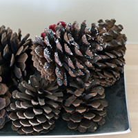 Glittery Pinecones