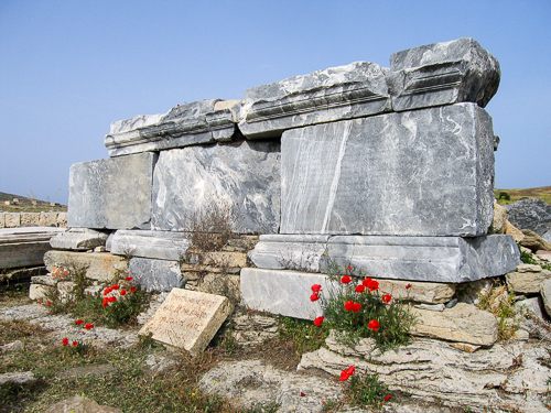 Delos Poppies