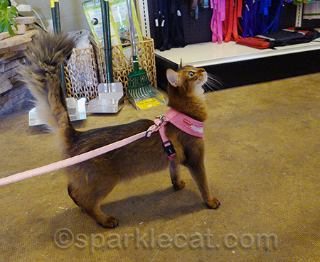 I wish I could take home everything! Scratch that - I would kind of like to LIVE here