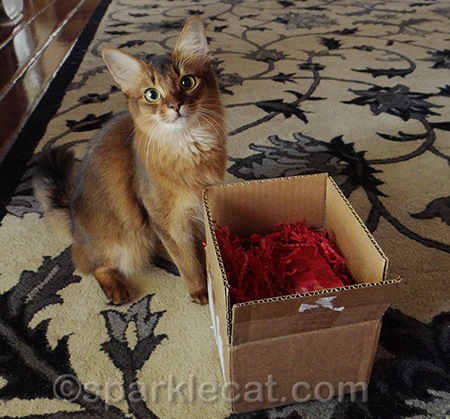 Paws crossed that they like these!
