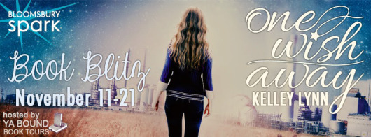 One-Wish-Away banner