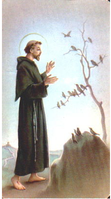 st francis