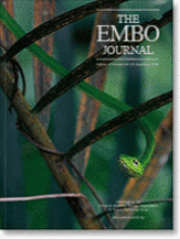 14.cover.gif
