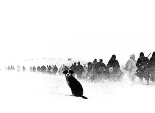 A dog sits in the snow watching a column of Axis Italian soldiers of the 8th Italian Army, also known as the Italian Army in Russia
