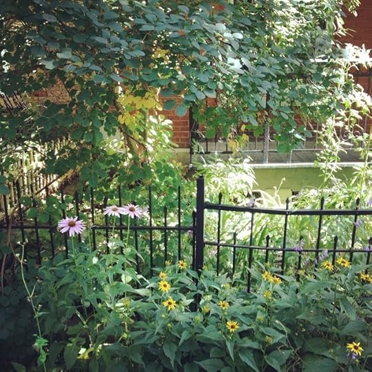 Lush #life #montreal #mtl #pmr