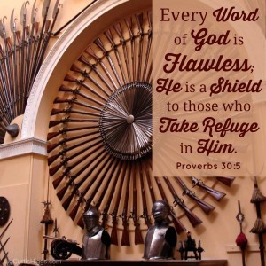 Proverbs 30:5