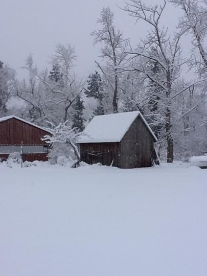 20120118-100328.jpg