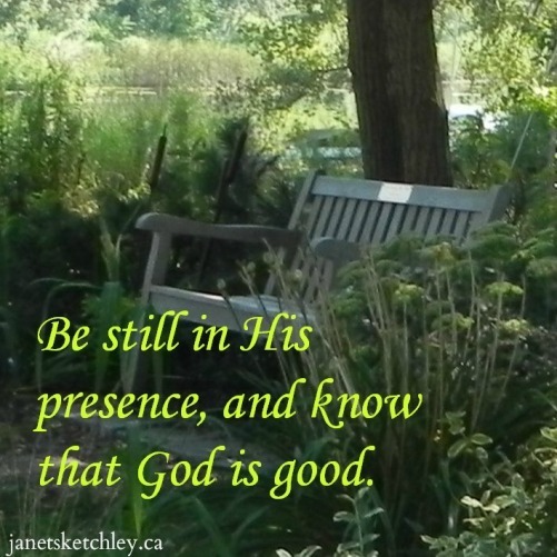 Photo of a peaceful bench in a park, with the words 