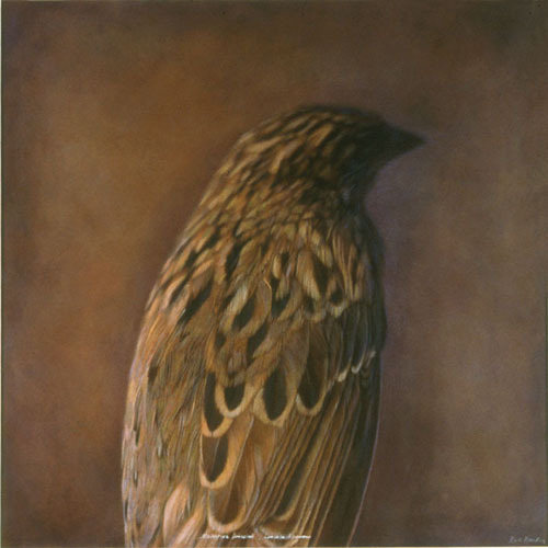 From the Small Deaths series by Kate Breakey