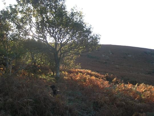 Autumn 2