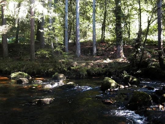 The River Teign