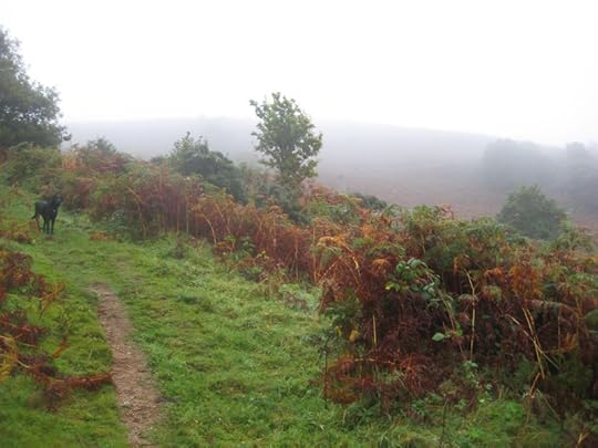 Mist on Nattadon 4