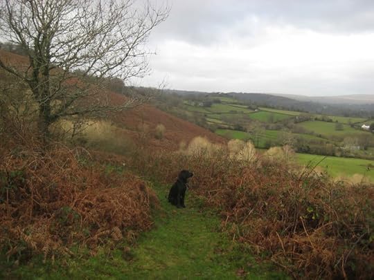 Surveying her domain