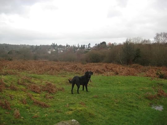 Winter on the commons